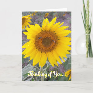 Thinking of You Christian Sunflower Card