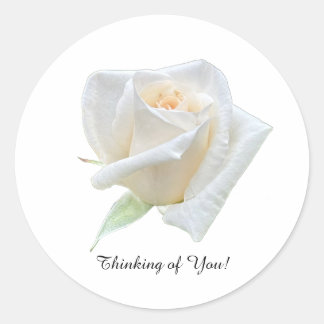 Thinking of You Classic Round Sticker