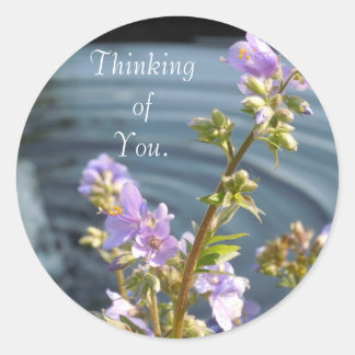 Thinking of You Classic Round Sticker