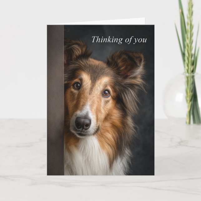 Thinking of You Collie Card (Front)