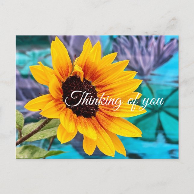 Thinking of You Colorful Hello Postcard (Front)