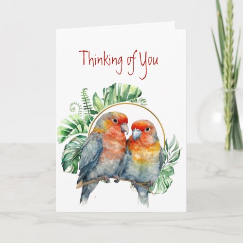 Thinking of You Colorful Parrots Love Birds  Card