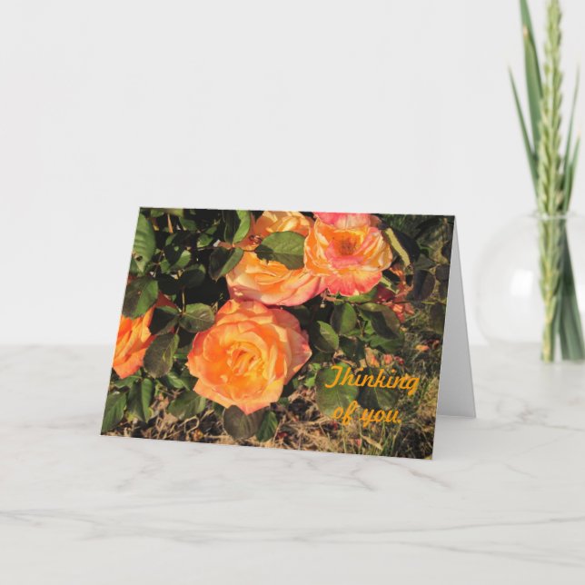 Thinking of You: Coral roses Card (Front)