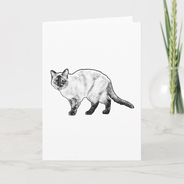 Thinking of You, Curious Cat Card (Front)