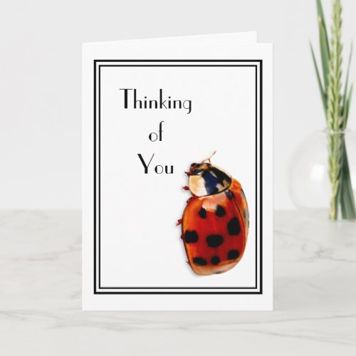 Thinking of You Cute And Classy Little Ladybug Card