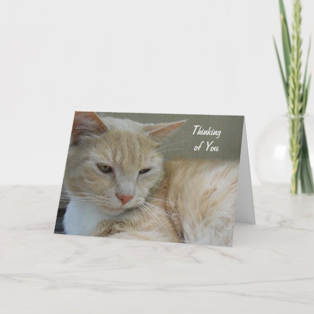 THINKING OF YOU Cute Cat Animal Custom Photograph Card (Front)