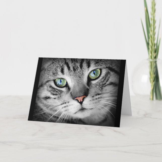 Thinking of You Cute Gray Kitty Cat Card (Front)