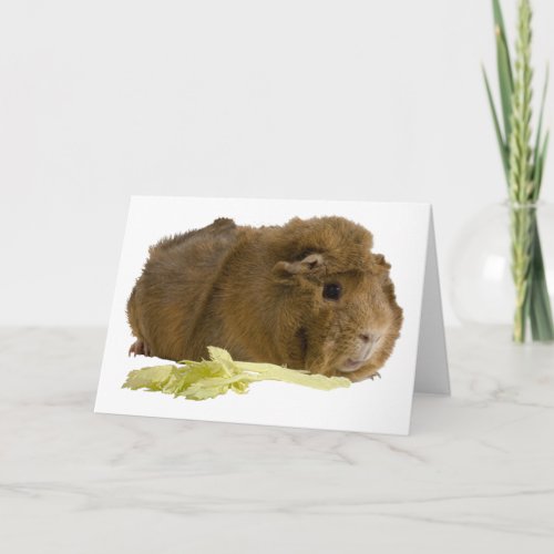 Thinking Of You Cute Guinea Pig Photo Template
