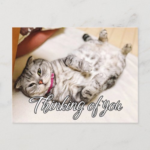 Thinking Of You _ Cute Kitty Cat Postcard