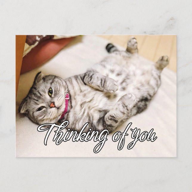 Thinking Of You - Cute Kitty Cat Postcard (Front)