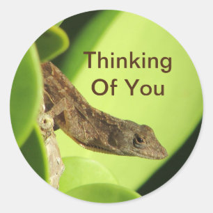 Thinking Of You Cute Reptile Gecko Friendship Classic Round Sticker