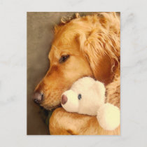 Thinking of You Cute Sad Golden Retriever Dog Pet Postcard