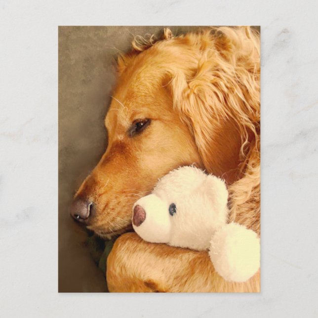 Thinking of You Cute Sad Golden Retriever Dog Pet Postcard (Front)