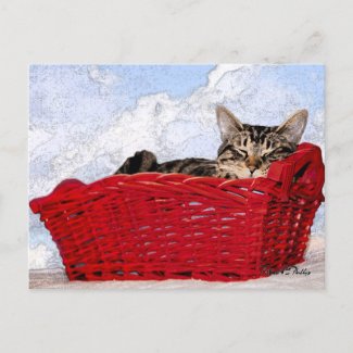 Thinking of You Cute Sleeping Kitten Red Basket 