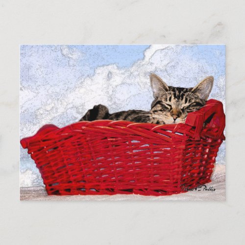 Thinking of You Cute Sleeping Kitten Red Basket  Postcard
