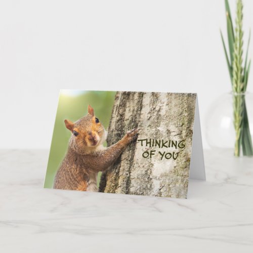 Thinking of You Cute Squirrel Climbing Tree Photo Holiday Card