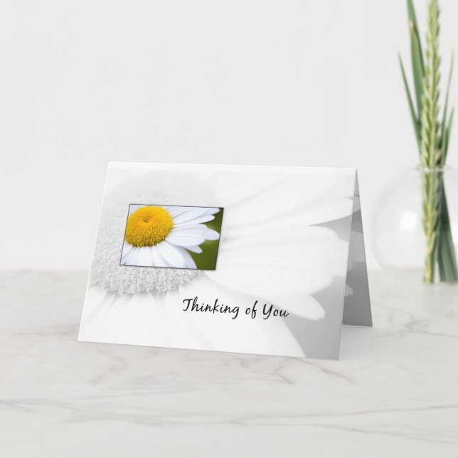 Thinking of You Daisy Card (Front)