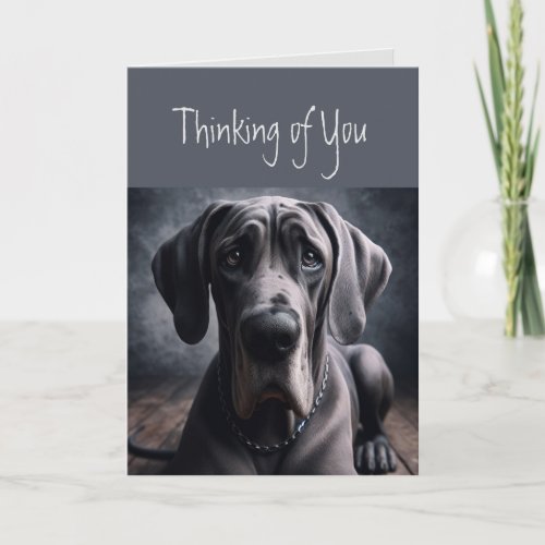 Thinking of You  Dark Times Sad Dog Great Dane Card