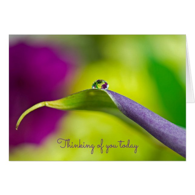 thinking of you dewdrop on leaf cards (Front Horizontal)