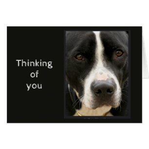 Thinking of You Difficult time Cute Sad Dog Cards