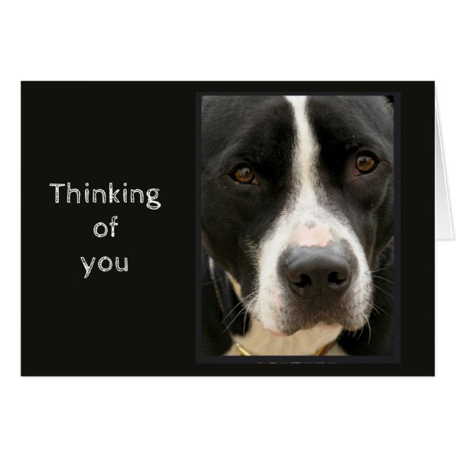 Thinking of You Difficult time Cute Sad Dog Cards (Front Horizontal)