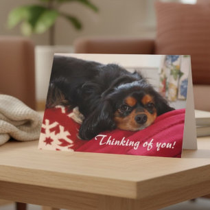 Thinking of You Dog Lover Cavalier King Charles Card
