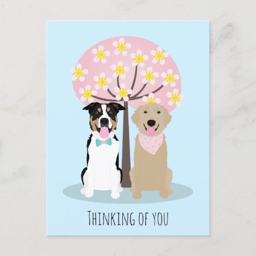 Thinking Of You Dogs By Cherry Blossom Tree Postcard