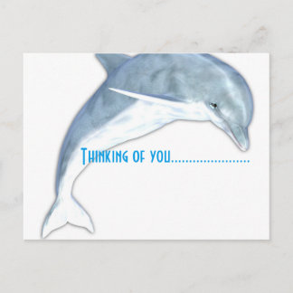 Thinking Of You Dolphin Fashion Postcard