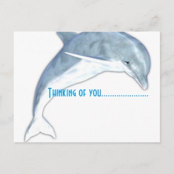 Thinking Of You Dolphin Fashion Postcard by Designs_Accessorize at Zazzle