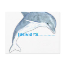 Thinking Of You Dolphin Fashion Postcard