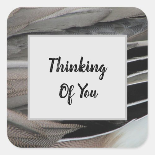 Thinking of You Duck Feather Photo Modern Square Sticker