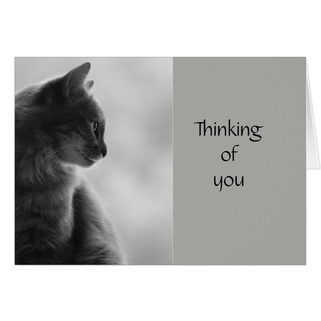 Thinking of You Encouraging Thoughtful Cat Kitten Cards (Front Horizontal)