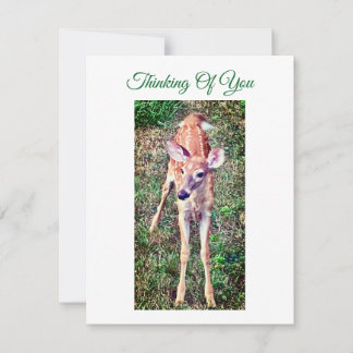 Thinking Of You Flat Note Card With Fawn