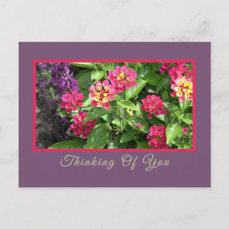"THINKING OF YOU" FLORAL/LANTANA POSTCARD