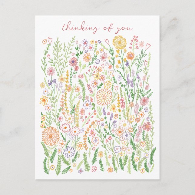 Thinking of You Flowers Fields Meadow Floral  Postcard (Front)