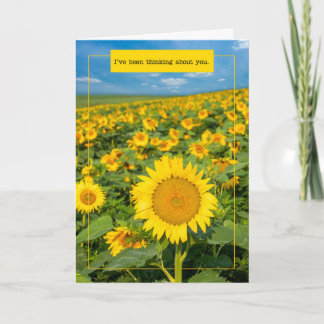 Thinking of You For Anyone Beautiful Sunflowers Holiday Card