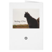 Thinking Of You Friend Cards (Back)