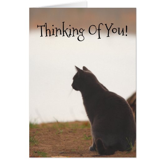 Thinking Of You Friend Cards (Front)