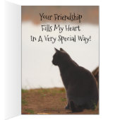 Thinking Of You Friend Cards (Inside (Right))