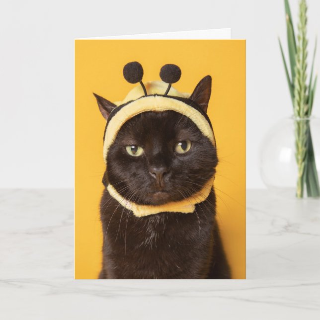 Thinking of You Funny Cat in Bumblebee Hat Humor  Holiday Card (Front)