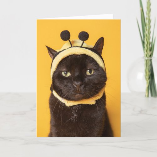 Thinking of You Funny Cat in Bumblebee Hat Humor  Holiday Card