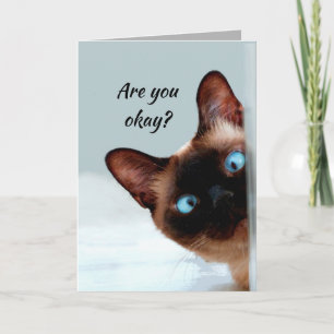 Thinking of You Funny Cat Let Me know You're okay Card