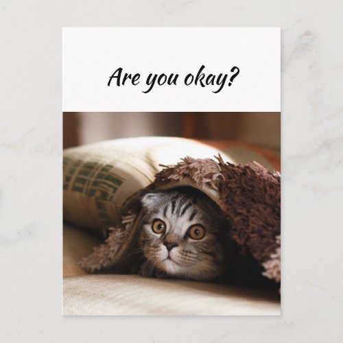Thinking of You Funny Cat Let Me know Youre okay Postcard