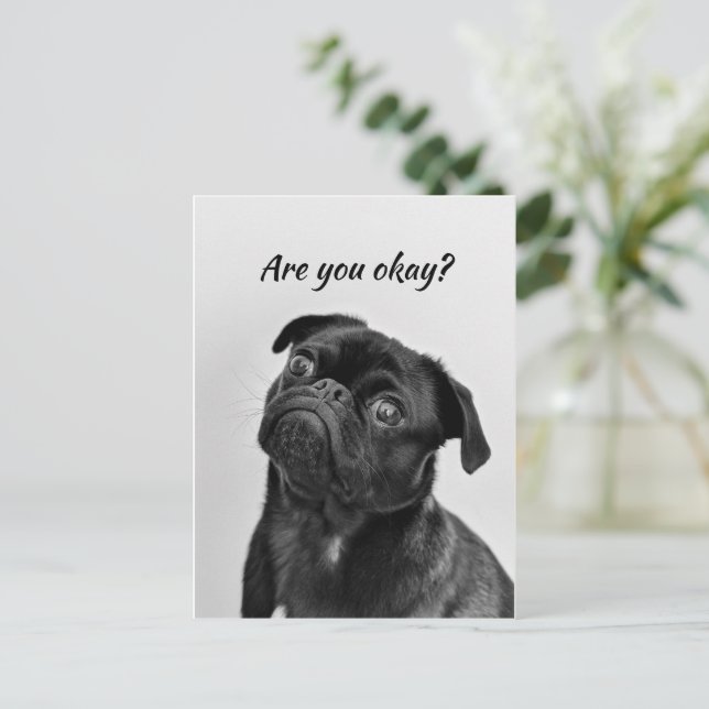 Thinking of You Funny Dog Let Me know You're okay Postcard Zazzle