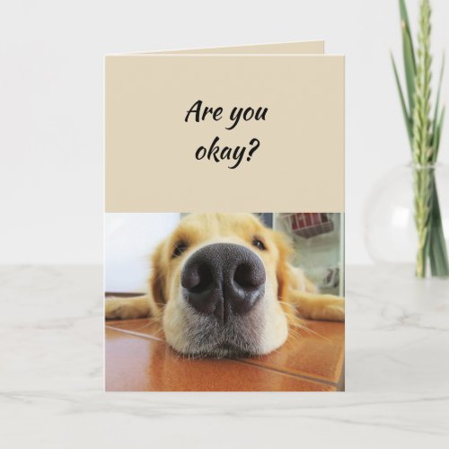 Thinking of You Funny Dog Nose its been Ruff Card