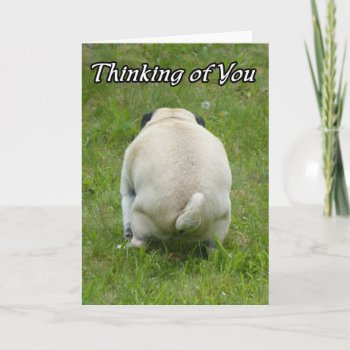 Thinking Of You Funny Rude Pug Card by PugWiggles at Zazzle