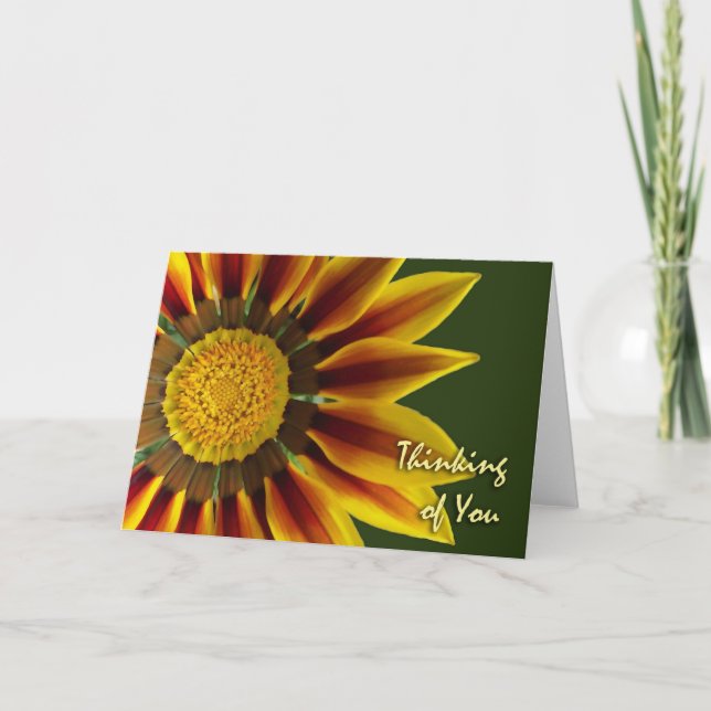 Thinking of You, Gazania Flower, Blank Card (Front)
