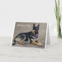 Thinking of You German Shepherd Dog Greeting Card
