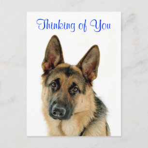 Thinking Of You German Shepherd Doggy Postcard