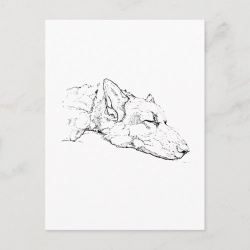Thinking of you, German Shepherd  Postcard
